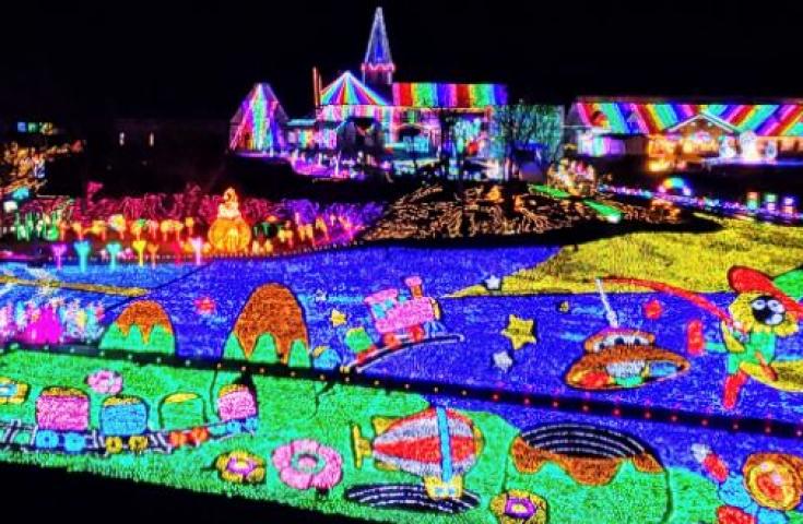 【早割30】[新宿発]温暖な南房総で房州みかん狩り食べ放題＆海鮮浜焼き食べ放題！アツアツ揚げたて芋けんぴのご試食やお買い物、可愛い♪ドイツ村イルミネーション鑑賞等、房総満喫日帰りバスツアー！1