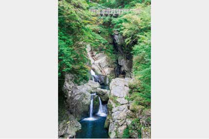 ＜奈良＞若葉芽吹くみたらい渓谷ハイキングと昭和風情香る洞川温泉街ご散策【垂水・名谷・三宮出発】