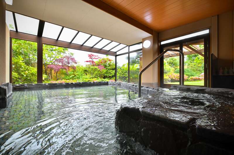 【上野駅・大宮駅発】 【列車+ﾎﾃﾙ】＜WEB予約・カード決済限定＞往路は、団体臨時列車「つながる北陸～冬の美食～」にご乗車！あわら北潟温泉『hanaゆらり』海の幸の王様を贅沢に食べつくすカニづくし２日間3