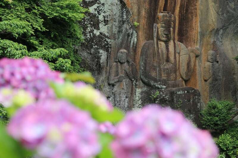【福岡県内／博多駅　発】 初夏の大分・花散歩と雄大な阿蘇涼景めぐり2日間3