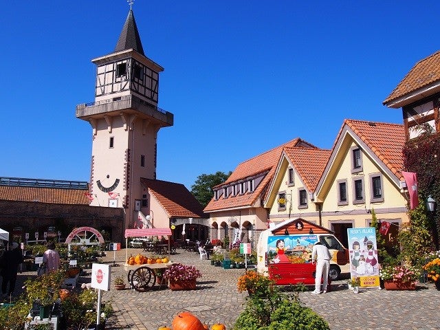 ■【山梨】バラと初夏の花咲くハイジの村！スイス＆甲州郷土料理ビュッフェに桔梗信玄餅詰め放題♪さくらんぼ狩り園内食べ放題！2