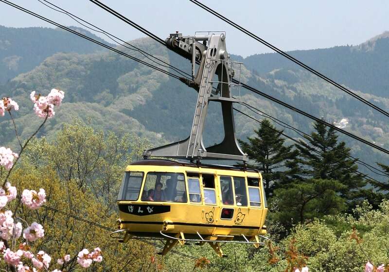 【千葉県内※銚子・茂原発着ルートを除く発】 らくらく天空へ！埼玉の新絶景！ ロープウェイで行く宝登山山頂「SUSABINO（スサビノ）テラス」 宝登山で作られた天然氷のかき氷付！秩父名物ランチ　日帰り3