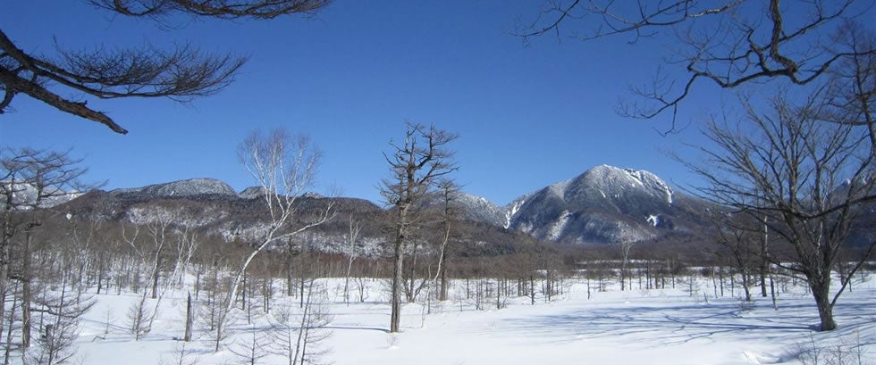 奥日光でスノーシューハイキングツアー～日光中禅寺湖・湯滝～1