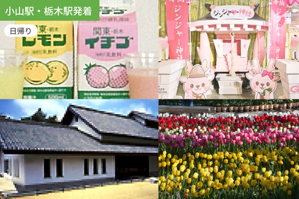 【小山駅・栃木駅発着】栃木のコアな名所を巡る旅 県南編 / 栃木乳業工場見学 / 栗田美術館/ あしかがフラワーパーク / 岩下の新生姜ニュージアム見学 【昼食付】/ WEB割引5%引き ＜日帰り＞