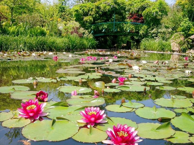 【和歌山県内発】 山頂の庭園美術館「ガーデンミュージアム比叡」と世界遺産・比叡山延暦寺　日帰り2
