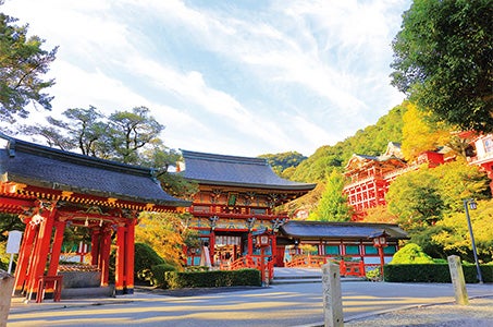 九年庵秋の一般公開と御船山楽園ライトアップを愉しむ 九州5つの紅葉モニターツアー 3日間2
