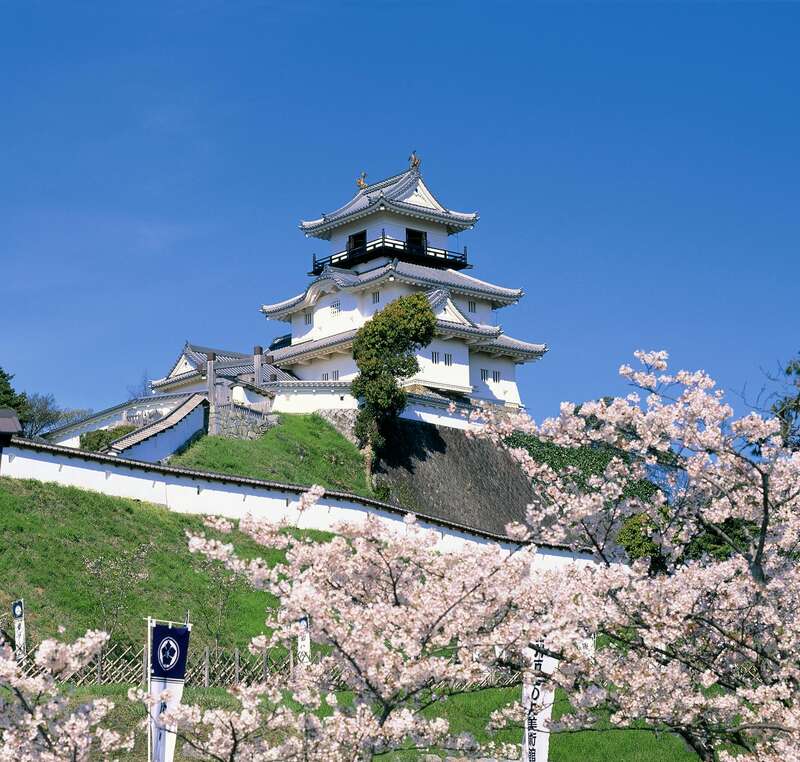 【和歌山市内ルート発】 花薫る富嶽の感動！富士山眺望春めぐり２日間2