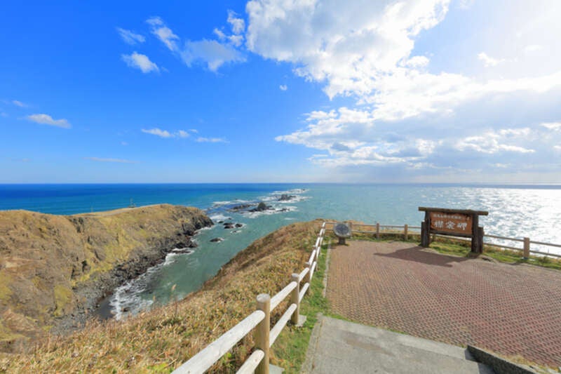 【神戸空港発着】静内・浦河・襟裳　春の訪れを告げる北海道桜並木３日間（お寛ぎプラン）3