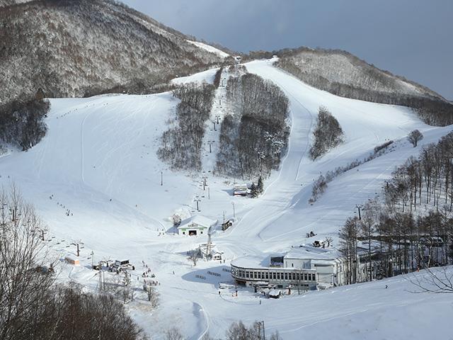 ■●夜発バス　爺ガ岳スキー場　日帰りプラン　リフト券付1