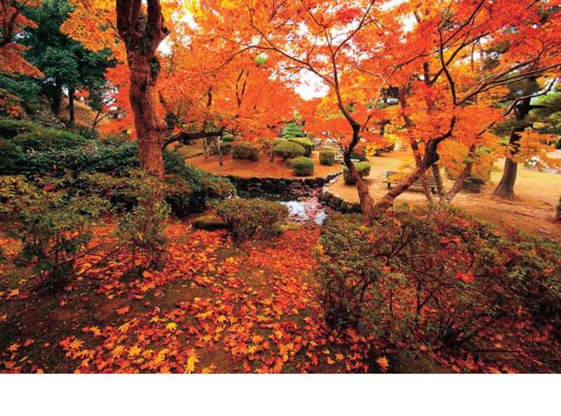 【筑後エリア発】 毎回好評！ONCRI-KARATSUで食す潮香御膳と秋の唐津を満載！佐賀の休日　日帰り　2