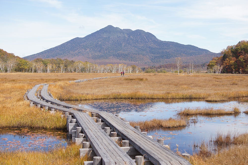 S355 尾瀬ヶ原・尾瀬沼ハイキング 尾瀬小屋宿泊 1泊2日間1