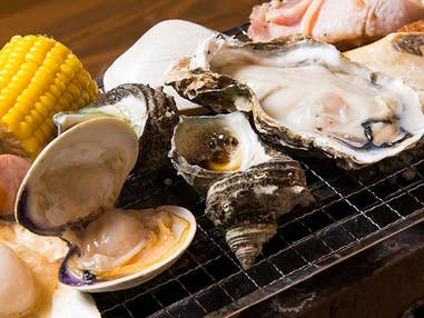 ■【千葉】旅する房総!海鮮浜焼食べ放題&動物の楽園【マザー牧場】&はちみつ専門店【はちみつ工房】でハニーソフト付き♪映えスポット巡りへ!