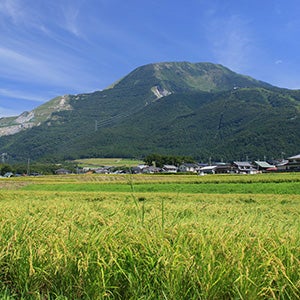 【名古屋発】■２０２６年６月１４日（日）■〔初級〕次晴登山部　 伊吹山 日帰り　★次晴登山部会員割引対象ツアー   日本百名山と名峰を歩く旅 ♪名鉄の日帰りトレッキング1