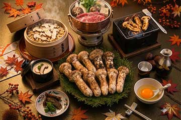 【サンケイ秋の大感謝祭！残った松茸と近江牛切落し１５０グラムはお持ち帰り！/千葉・津田沼・松戸発】生松茸１０本豪快暴れ食い！！松茸と近江牛のすき焼き＆焼き松茸会席！1