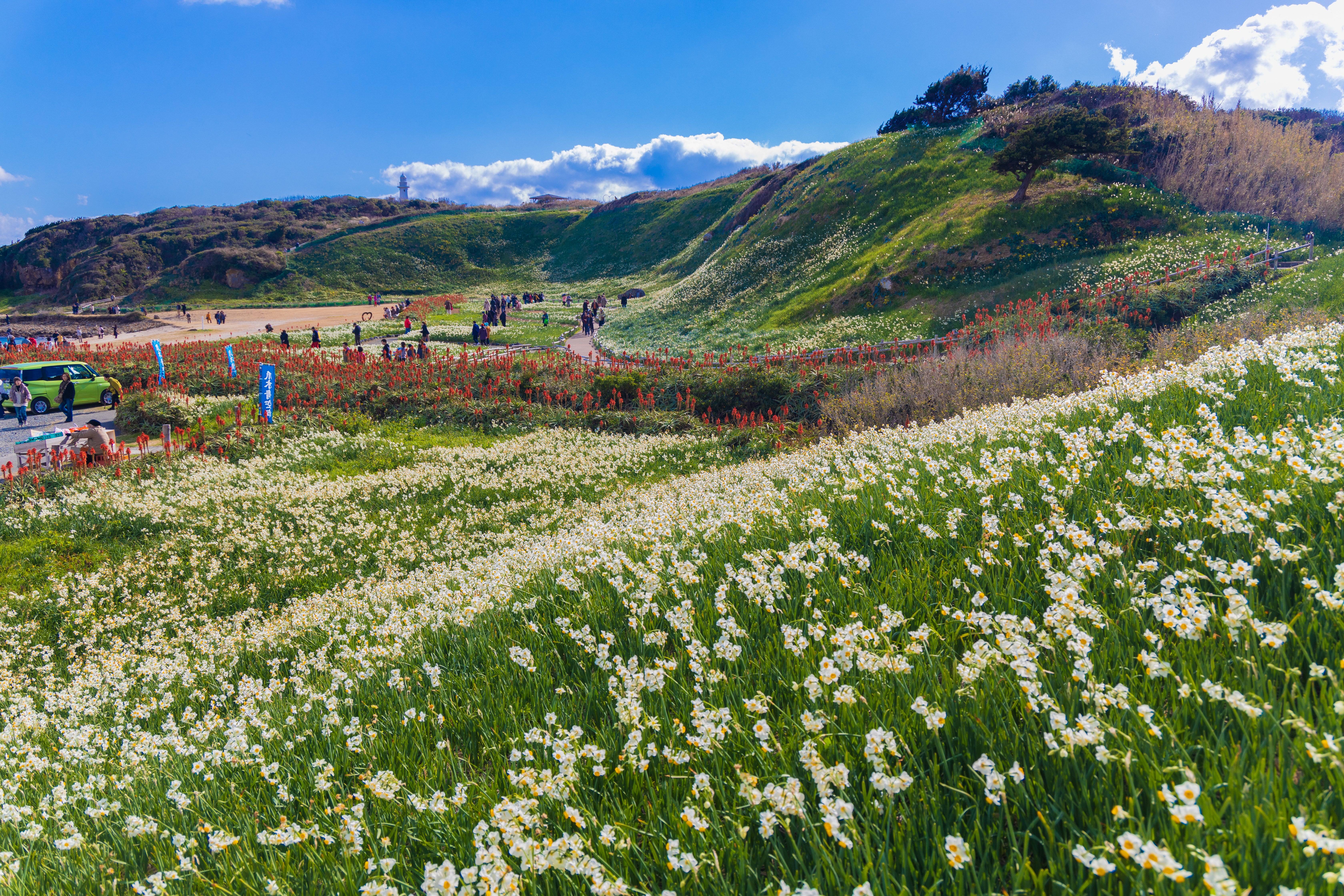 【静岡県内発】 新春お年玉ミステリー1