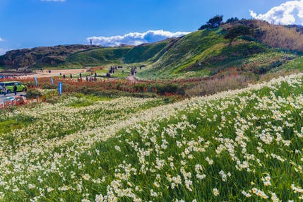 【静岡県内発】 新春お年玉ミステリー