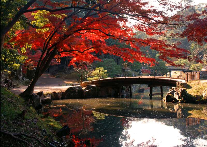 【奈良県内発】 秋彩ミステリーツアー　日帰り2