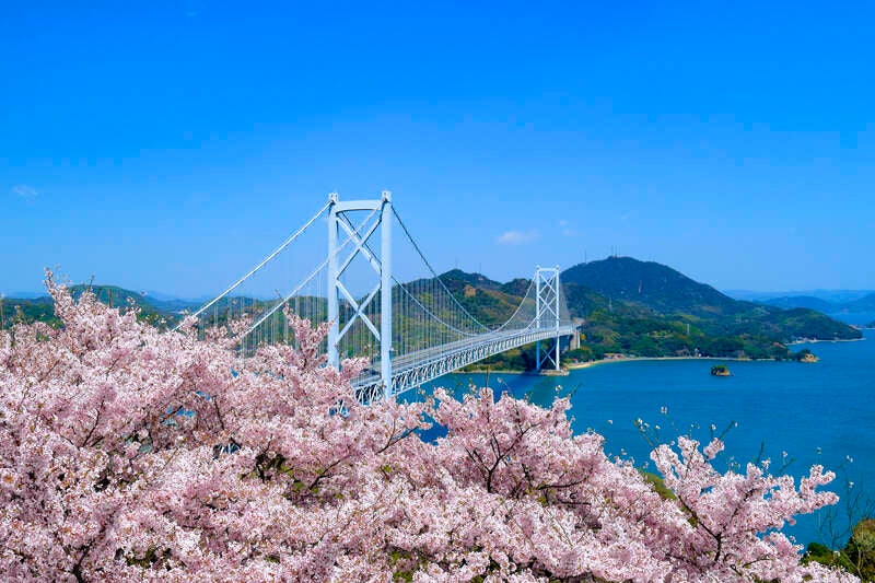 【東京駅・品川駅・新横浜駅発】 《日本100名城めぐり》桜舞う  瀬戸内の名城 めぐり ～しまなみ海道から瀬戸大橋ぐるり周遊～ ３日間3