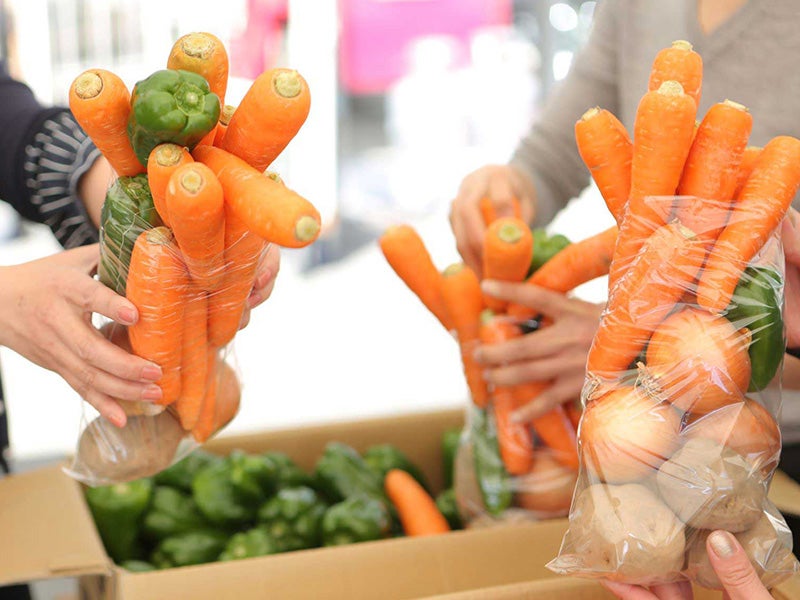 【新宿発】7,000円台～ぶっとび格安✨「信玄餅」＆「お野菜」ダブル詰め放題🔥×「ハイジの村でバイキング🍳」×「五感で楽しむハーブ庭園🌸」山梨大満喫ツアー♪＜トラベルロード＞2