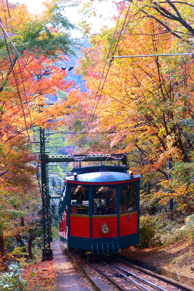 【京滋エリア発】 紅葉の神戸六甲ハイライト　日帰り1