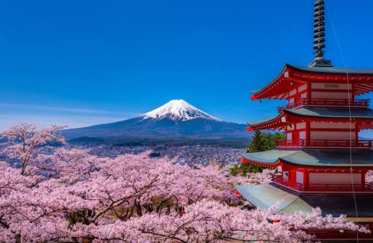 [品川/新宿LOVE発]新倉山浅間公園や大石公園などいろんな角度から富士山の感動の景色を望む！昼食はA5ランク神戸牛を使った、すき焼き風の贅沢牛丼をご堪能！富士山絶景撮影ポイント巡りの日帰りツアー！(英語ガイド付)1