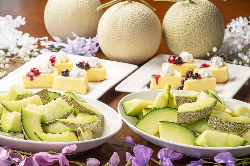 【群馬県内発】 国産網目メロン食べ放題＆1玉土産付♪ めろめろメロン＆サクサクさくらんぼミステリー 　日帰り2