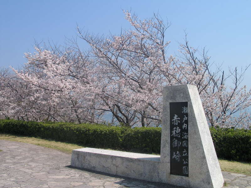 【高知県内発】  桜咲く姫路公園＆海と桜のコントラストが美しい「赤穂御崎」日帰り2