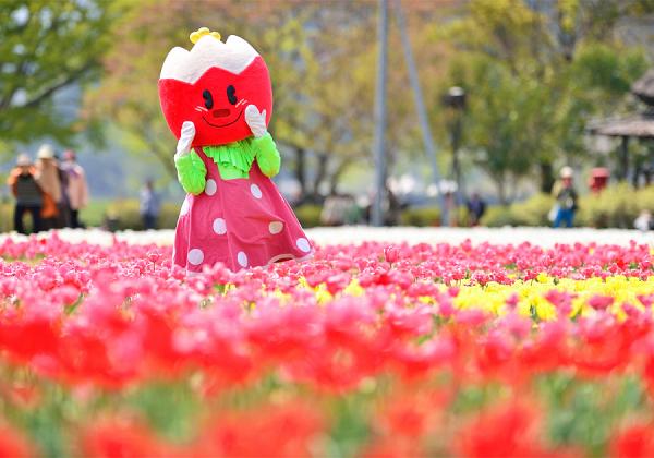 【北九州地区発着】一心寺ぼたん桜 雲海祭りと原尻の滝チューリップフェスタとホテル日航大分オアシスタワーの優雅なランチバイキング2