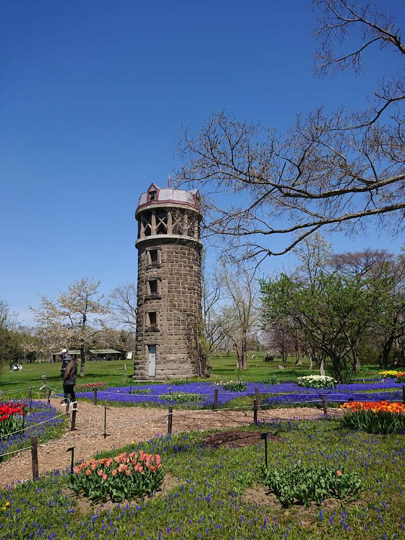 【旭川エリア発】 厚田の桜と「ガトーキングダム サッポロ」ランチビュッフェ（日帰り）3