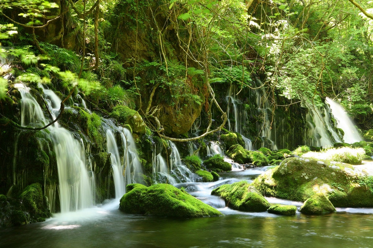 【山形県内発】 夏の味覚！ぷりっぷりの天然岩牡蠣御膳の昼食と鳥海山の伏流水＆TDKみらい館（日帰り）2