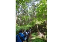 【津島発】＊日帰り軽食弁当付＊Ｌｅｔ’ｓハイキング！『アルプス眺望のはびろ自然遊歩道を歩こう』2