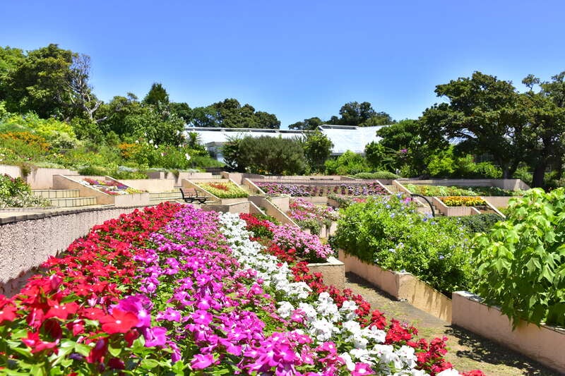 【神奈川県内・町田発】 お花好き集合♪咲き競う初夏の花々～花日和フラワーミステリー～2