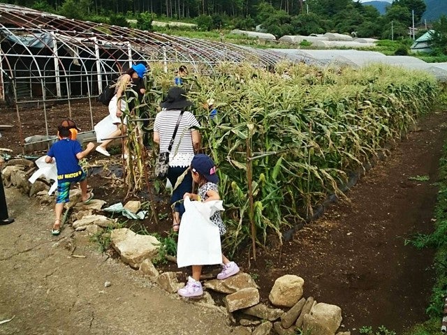 ■【山梨】夏の自然をまるかじり！「川魚つかみ取り・とうもろこし収穫・旬のフルーツ狩り」のトリプル体験♪その場で味わう川魚塩焼き＆焼きとうもろこしに、旬のフルーツ食べ放題♪2