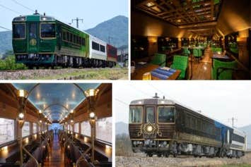 【広島駅・福山駅・新岩国駅・徳山駅発着／新幹線利用】四国２つの観光列車に乗車～2月限定・ラン展と可憐なバイカオウレン咲く佐川の旅　２日間