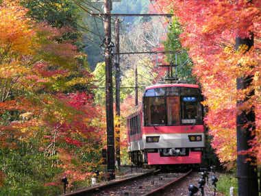 【富山・石川発】 「もみじのトンネル」叡山電車で行く鞍馬寺と世界遺産「二条城」日帰り