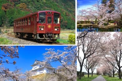【広島駅新幹線口・福山SA発着】ローカル線から見る 美作・因幡の桜の絶景めぐり ～若桜鉄道貸切・因美線～1