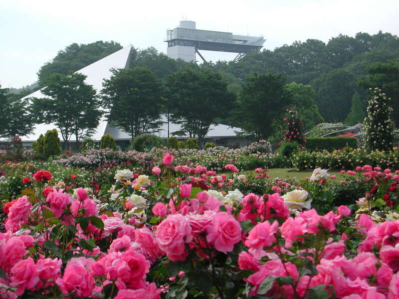 【富山県内発】 世界最大級のバラ園「ぎふワールド・ローズガーデン」　麗しき秋のバラ鑑賞と   恵那峡クルーズ　　日帰り1