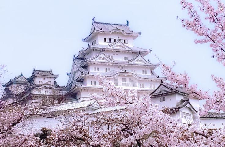 [なんば発]昼食天ぷら豪華セット♪世界遺産「姫路城」と数々の文豪や著名人に親しまれた有馬温泉＆日本でも有数の眺望スポットの六甲山散策日帰りバスツアー(英語ガイド付)1