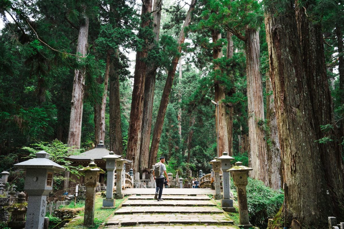 【早割キャンペーン中！10/7まで】名門大洋フェリーで行く　世界遺産高野山をめぐる旅🚢🚢フェリーで宿泊🚌宿泊バスツアー2
