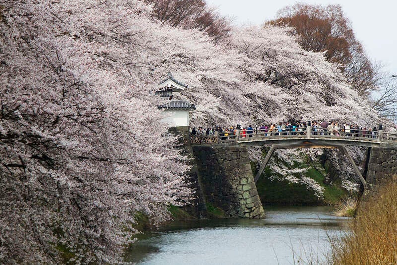 【敦賀駅・福井駅発】《日本100名城めぐり》 桜舞う！ 日本100名城めぐり 南東北編（３日間）3