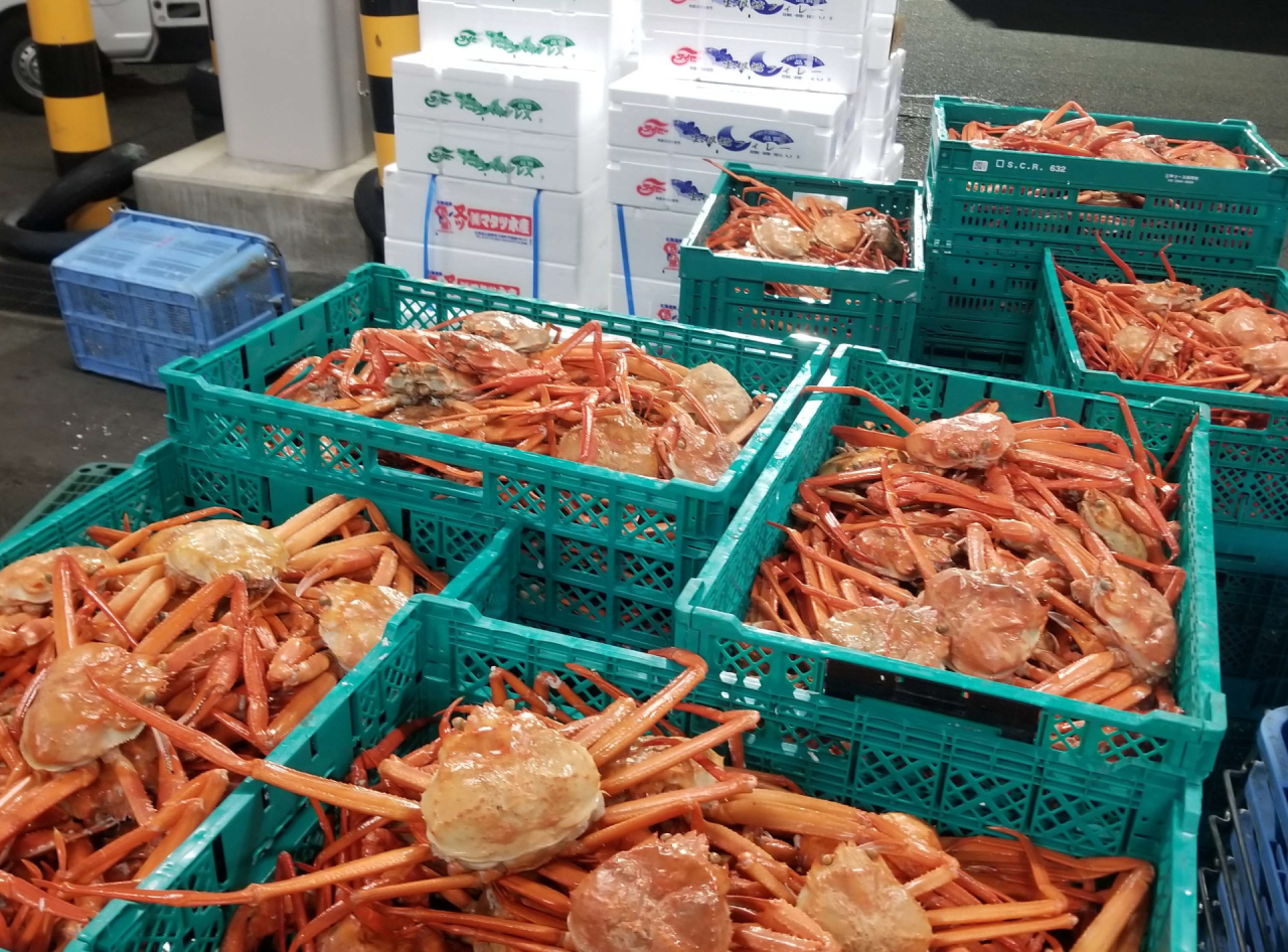 8日間限定！年度末総決算！ “かに蟹フィナーレ”大決算市ミステリーツアー♪【JR久宝寺・近鉄八尾・八戸ノ里・新石切発】2