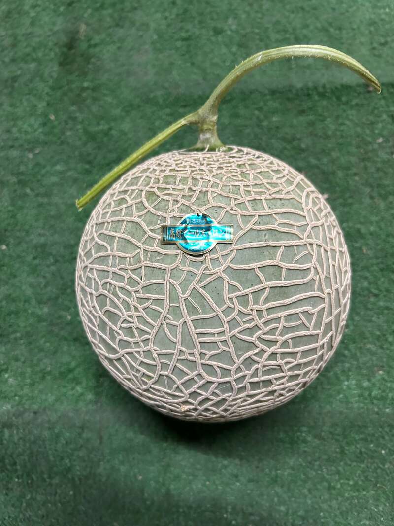 【小倉・引野口発】 お母さんに捧げる感謝のミステリーツアー　日帰り2