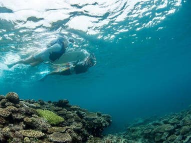 ■【夜の魚の生態を知ろう!ナイトシュノーケリング付】夜の海という異世界を体験!☆人気のリゾート プリシアリゾートヨロン指定 4泊5日
