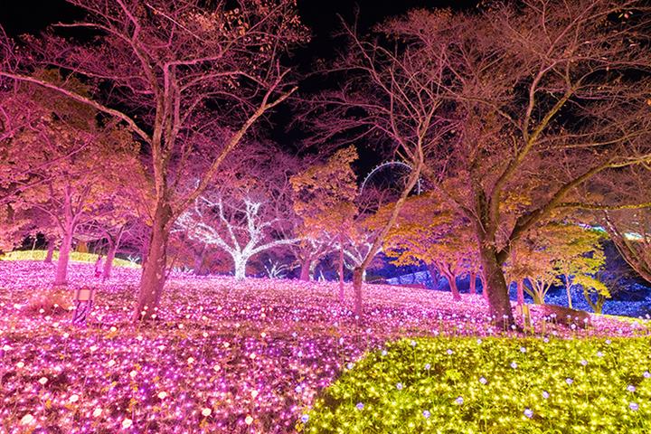 ★催行決定！残席わずか♪ ＜新宿発・西船橋発＞ 冬の富士に大輪の花咲く！『河口湖冬花火』 と 600万球が輝く関東最大級のイルミネーション！『さがみ湖イルミリオン』たっぷり2時間滞在♪　【ゆっくり午後出発プラン】3
