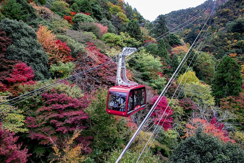 【岡山・倉敷発】 六甲有馬ロープウェイと秀吉も絶賛した瑞宝寺公園の紅葉  日帰り1