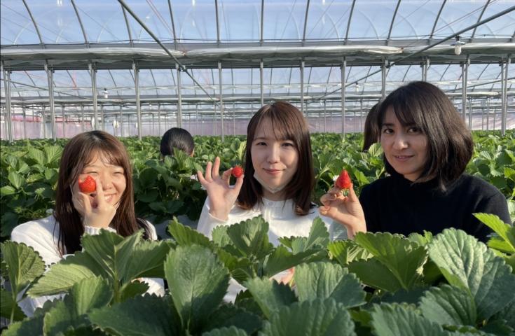 【新宿発】春の眼福、満喫旅！日本一の花桃の里「古河桃まつり」散策＆いちご狩り食べ比べ食べ放題＆佐野プレミアムアウトレットでお買い物！春を満喫バスツアー3