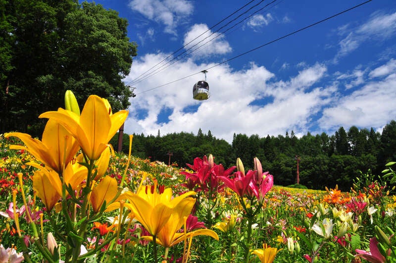 【福島県内発】 爽快アルプス白馬岩岳・栂池絶景ハイクと日本三大渓谷清津峡・善光寺・軽井沢 ３日間2