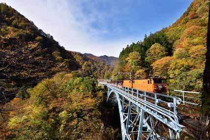 【富山県内発】 紅葉の黒部峡谷鉄道トロッコ電車