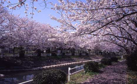 【下関・新下関発】ほとめき佐賀てんこ盛りバスツアー　日帰り