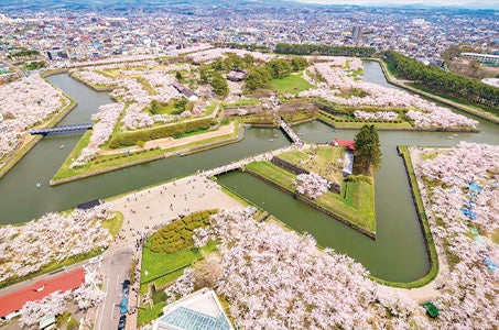 【広島/基本プラン】2つの5つ星の宿　名湯ホテル・ベイサイドに佇むリゾートホテルに泊まる北海道の休日3日間　往復直行便利用（広島空港⇔新千歳空港間）・広島空港から添乗員同行！1